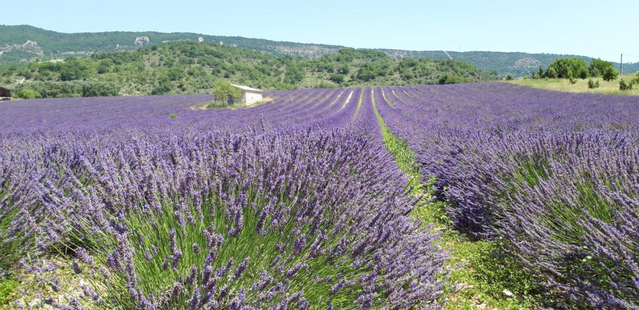 Les Costoliers
