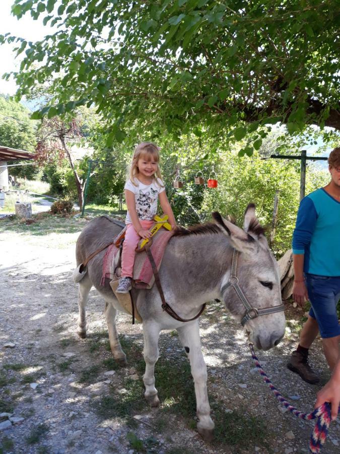 Hébergement de vacances Les Costoliers Châteauneuf-Miravail